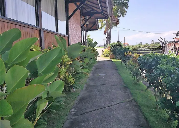 Kampung بيت ضيافة