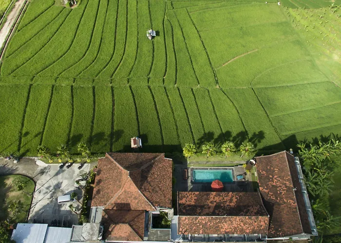 Kampung 2* チャングー